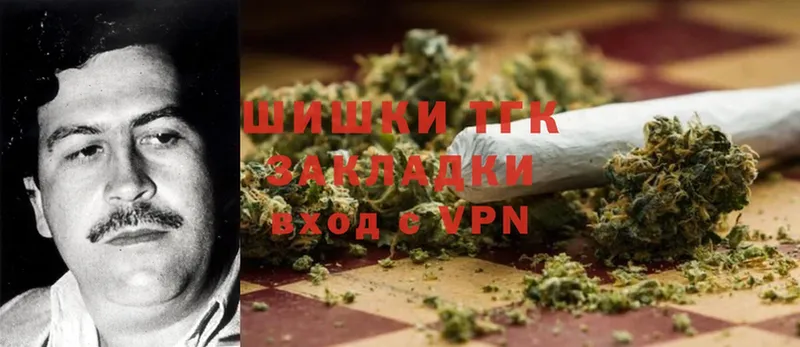 Бошки марихуана THC 21%  цены   Ершов 